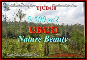 Beautiful Ubud Payangan BALI LAND FOR SALE TJUB430