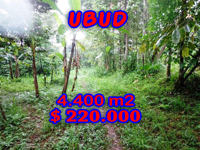 Affordable 4.400 m2 Land in Ubud Bali For sale