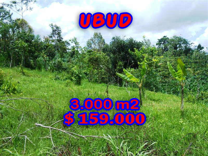 Land for sale in Ubud Bali 30 Ares in Ubud Payangan