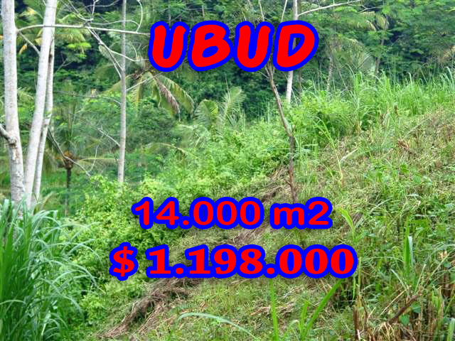 FantasticLand for sale in Bali, rice paddy view in Ubud Pejeng– TJUB238