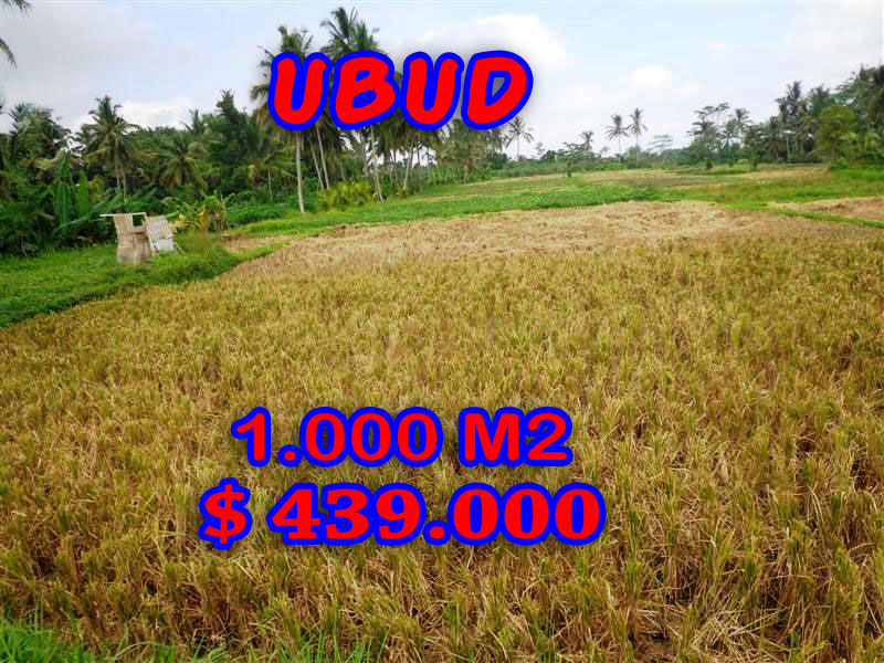 Land for sale in Bali, exotic view in Ubud Center Bali – TJUB235