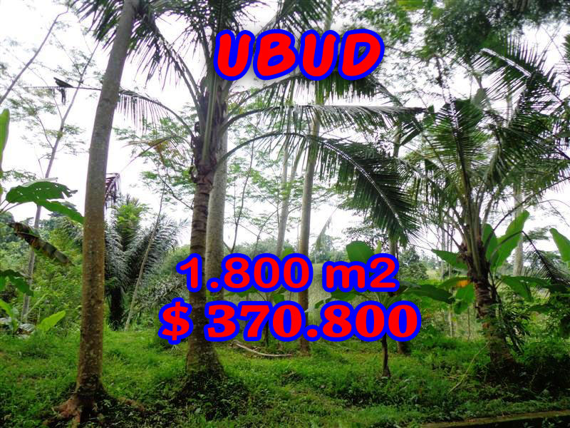 Affordable Land for sale in Ubud Bali 18 ares