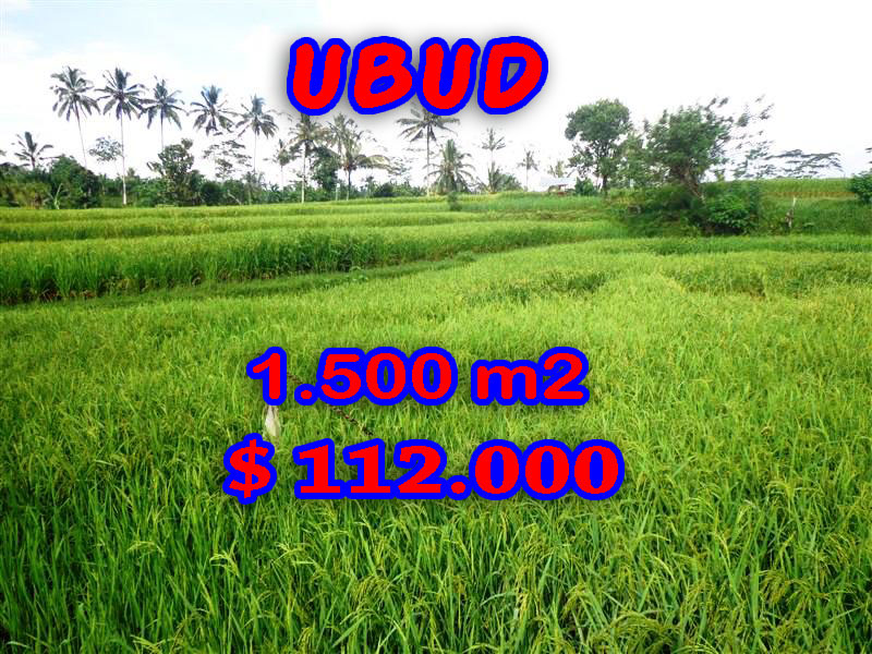 Land for sale in Bali, Fantastic view in Ubud Bali – TJUB242