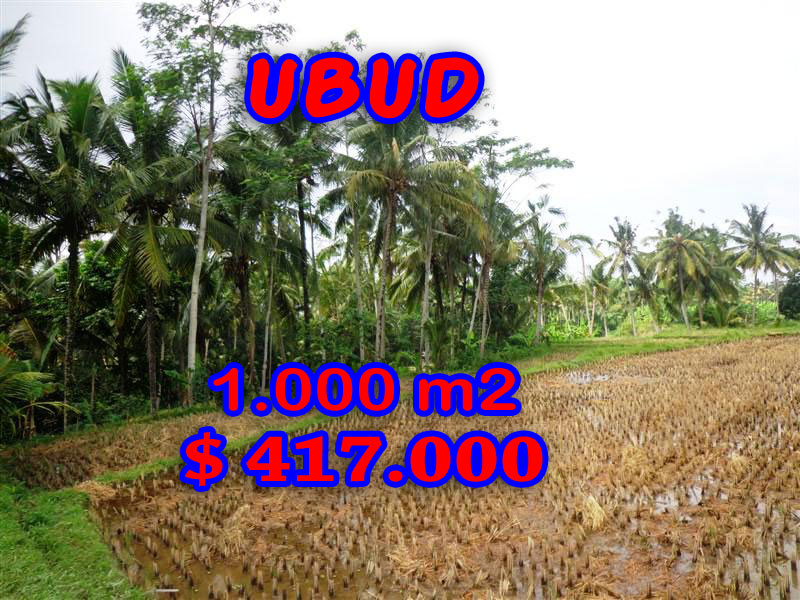 Stunning Property for sale in Bali, land for sale in Ubud Bali  – 1.000 sqm @ $ 417