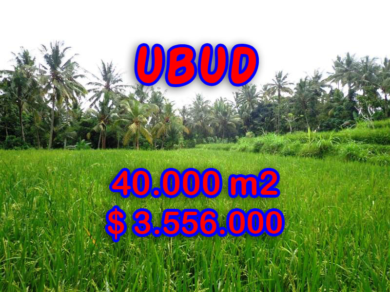 Land for sale in Bali, amazing view in Ubud Tampak siring – TJUB269