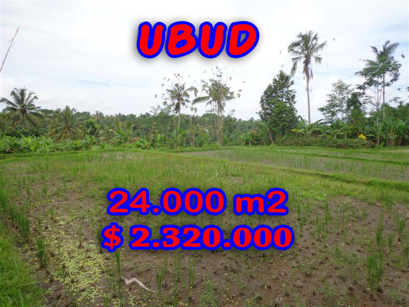 Land in Bali for sale, incredible view in Ubud Payangan Bali – TJUB262