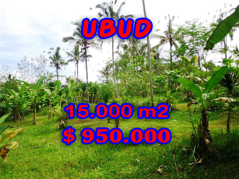 Land in Bali for sale, Stunning view in Ubud Bali – TJUB261