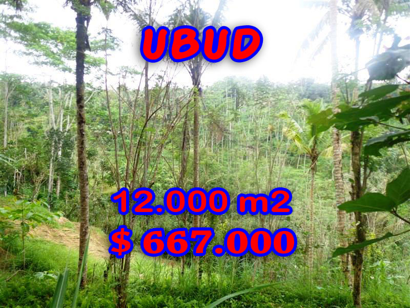 Land for sale in Bali, exotic view in Ubud Tampak Siring Bali – TJUB275