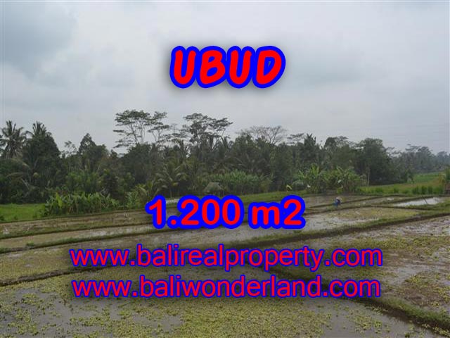 Land for sale in Bali, spectacular view in Ubud Bali – TJUB360