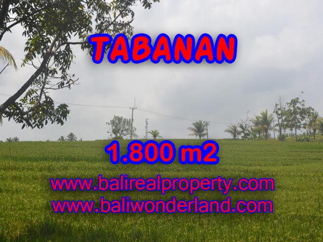 Land for sale in Bali, impressive view in SOKA TABANAN – TJTB083