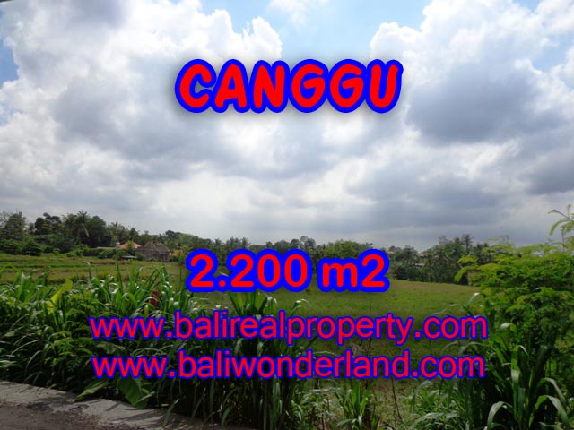 Outstanding Property for sale in Bali, land for sale in Canggu Bali  – 2.200 sqm @ $ 283