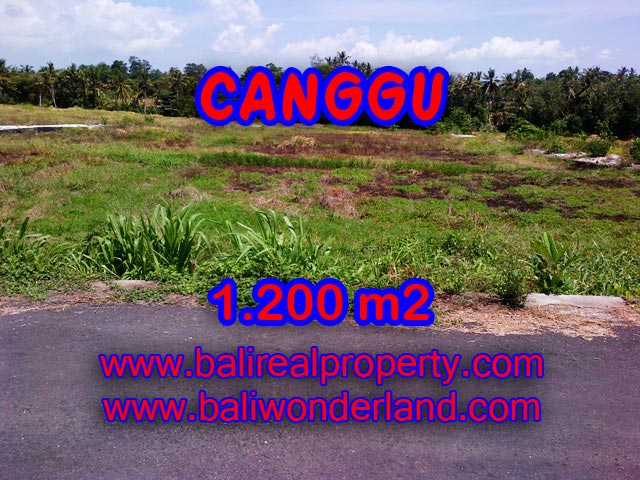 Bali Property for sale, Stunning land for sale in Canggu Bali  – 1.200 sqm @ $ 283