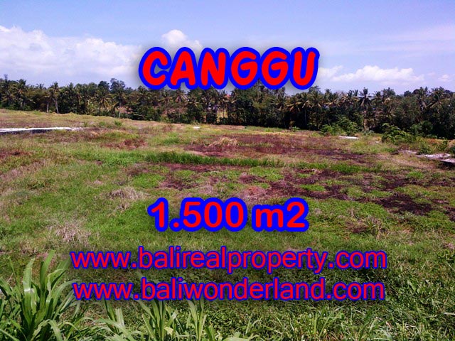 Stunning Property for sale in Bali, land for sale in Canggu Bali  – 1.500 sqm @ $ 283