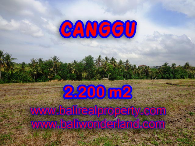 Amazing Property in Bali, Land for sale in Canggu Bali – TJCG128