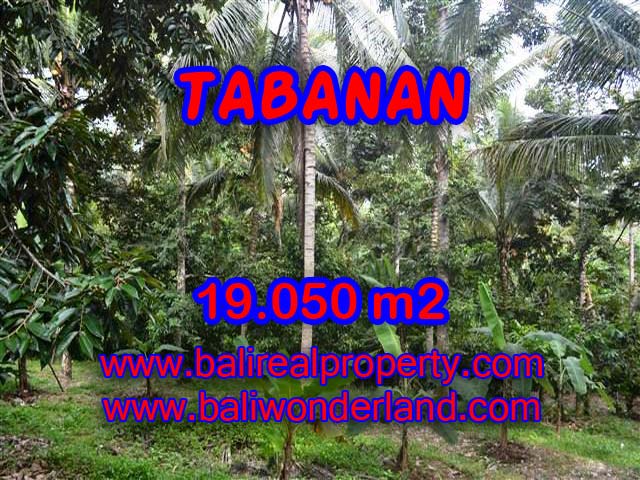 Magnificent Property in Bali for sale, land in Tabanan Bali for sale – TJTB092