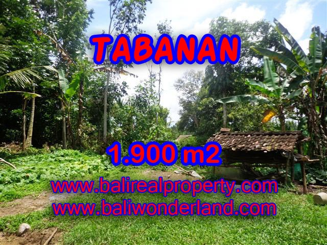 Spectacular Property for sale in Bali, land for sale in Tabanan Bali – TJTB091
