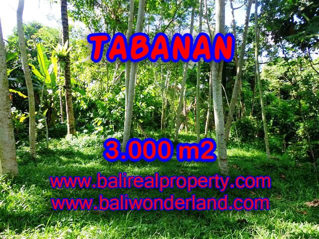Interesting Land for sale in Tabanan Bali, garden view in Tabanan Penebel– TJTB109