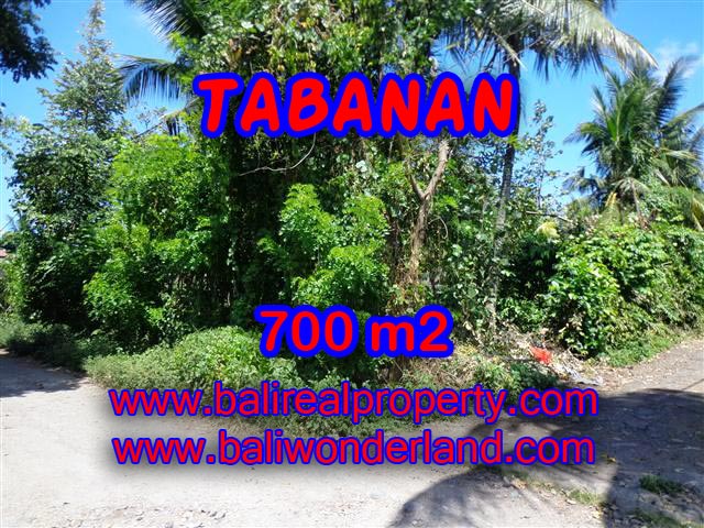 Land in Tabanan for sale, Stunning view in Tabanan Bali – TJTB107