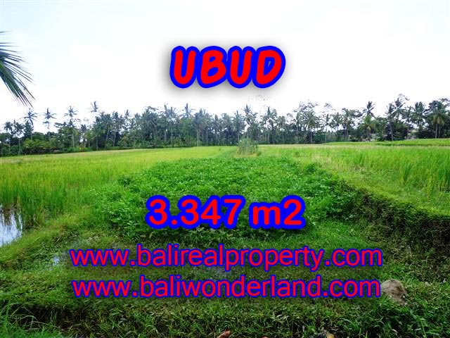 Extraordinary Land for sale in Ubud Bali, green valley and river view in Ubud Center– TJUB380