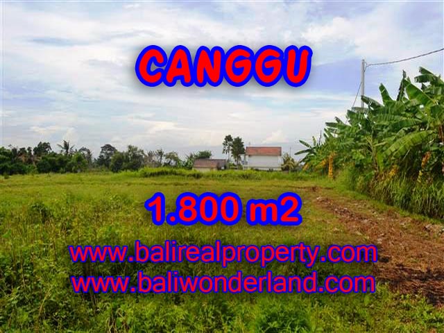 Land for sale in Canggu, Stunning view in Canggu Batu Bolong Bali – TJCG134