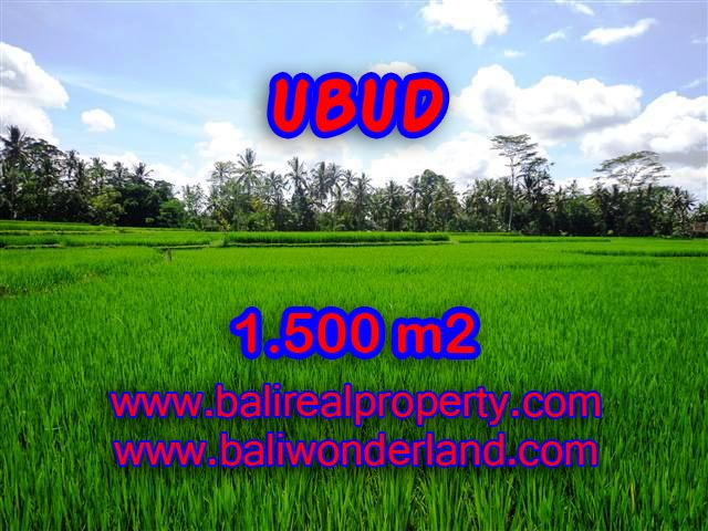 Land in Bali for sale, astounding view in Ubud Bali – TJUB383