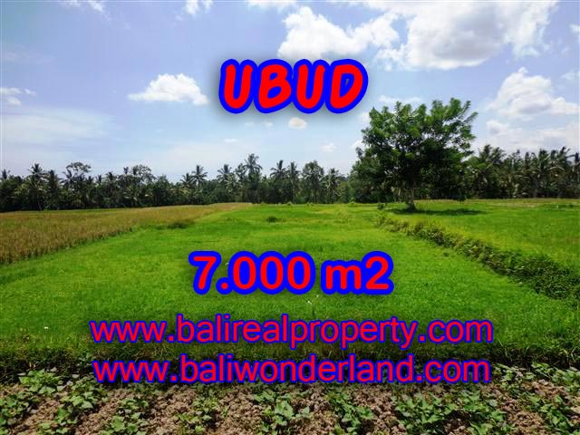 Land for sale in Bali, amazing view in Ubud Center – TJUB381