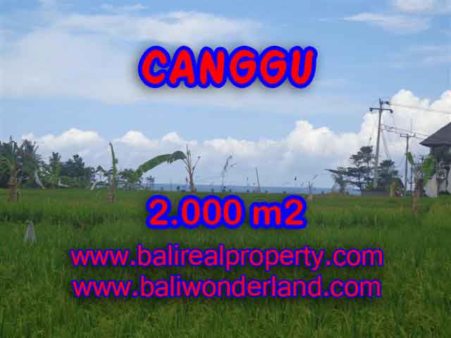 Land in Canggu Bali for sale, Outstanding view in Canggu Cemagi – TJCG140