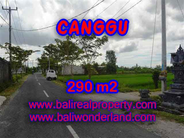 Land in Canggu for sale, Outstanding view in Canggu Pererenan Bali – TJCG141