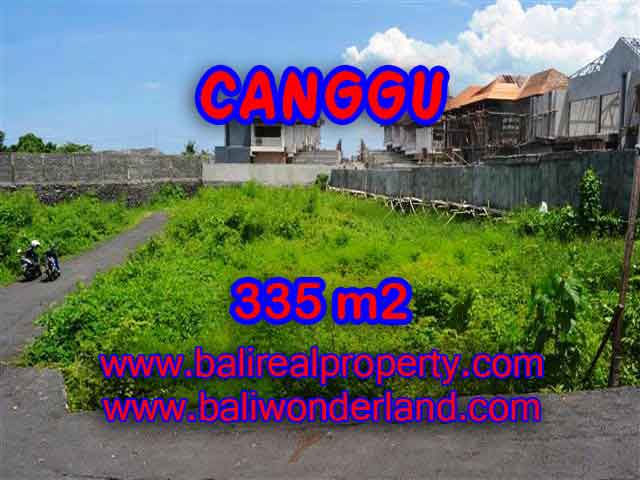 Extraordinary Land for sale in Canggu Bali, Natural garden view in Canggu Pererenan – TJCG142
