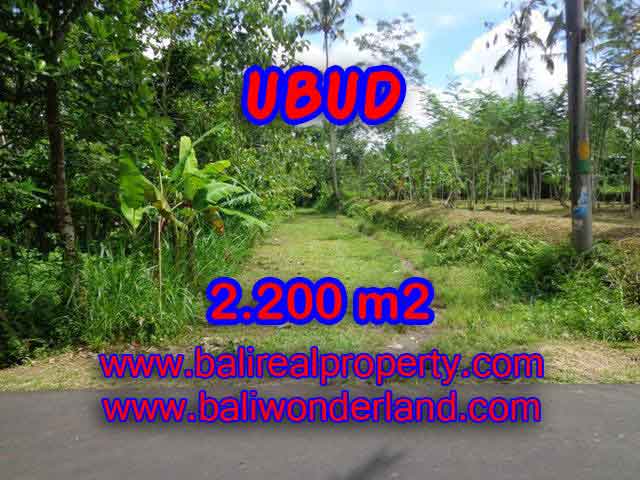 Property in Bali for sale, Astonishing land for sale in Ubud Bali – TJUB408