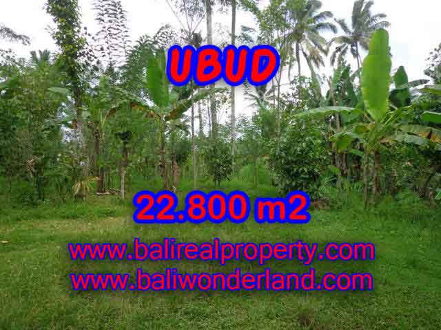 Astounding Property in Bali for sale, Mountain, Paddy and Jungle view land in Ubud Bali – TJUB409