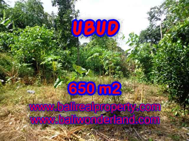 Spectacular Property for sale in Bali, land for sale in Ubud Bali – TJUB417