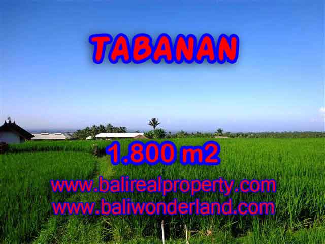 Magnificent Land for sale in Bali, Mountain and ricefields view in Tabanan Penebel Bali – TJTB119