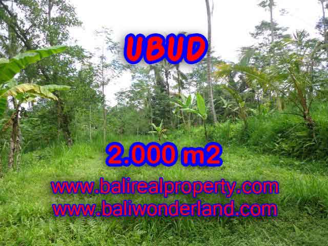 Beautiful Property for sale in Bali, land for sale in Ubud  – TJUB406