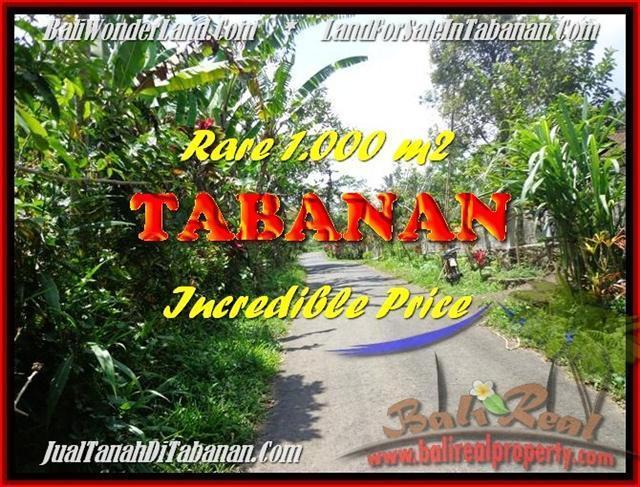 Beautiful LAND SALE IN Tabanan Pupuan BALI TJTB171