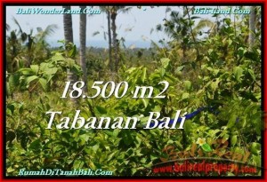 Beautiful PROPERTY LAND SALE IN TABANAN TJTB232