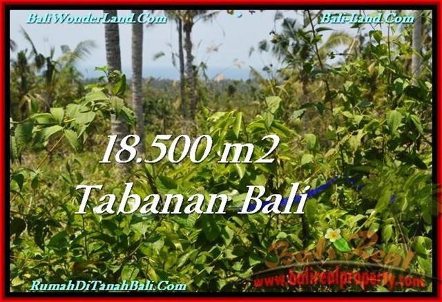 Affordable PROPERTY LAND FOR SALE IN TABANAN TJTB232