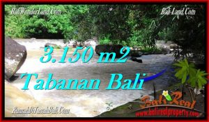 Exotic PROPERTY 3,150 m2 LAND IN Tabanan Selemadeg FOR SALE TJTB282