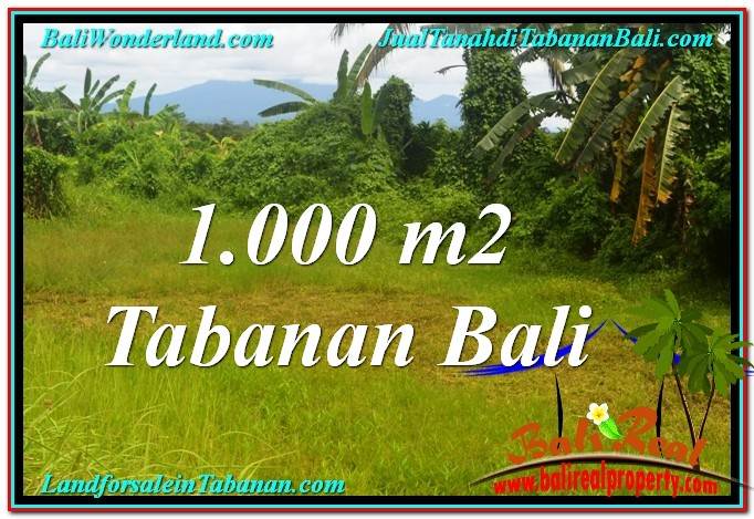 FOR SALE LAND IN TABANAN BALI TJTB311