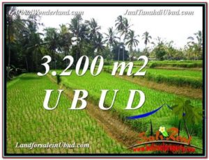 Magnificent PROPERTY LAND IN UBUD FOR SALE TJUB594
