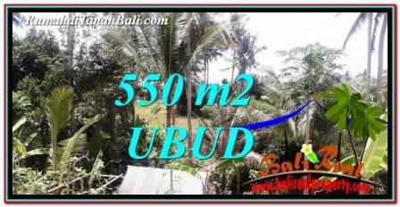 Beautiful PROPERTY Ubud Pejeng BALI 550 m2 LAND FOR SALE TJUB751