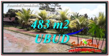 483 m2 LAND FOR SALE IN UBUD BALI TJUB752