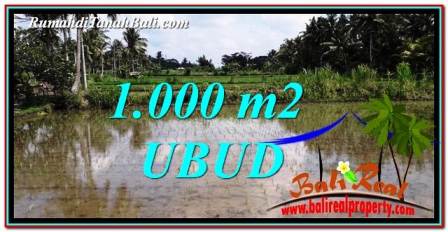 1,000 m2 LAND FOR SALE IN UBUD BALI TJUB753