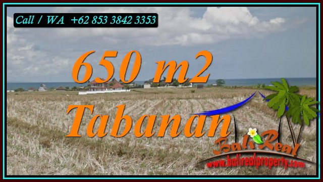 Cheap property LAND FOR SALE IN SELEMADEG TABANAN TJTB453