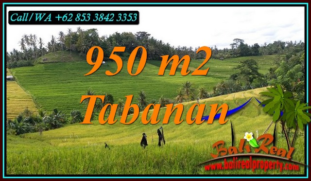 FOR SALE Affordable 950 m2 LAND IN SELEMADEG TIMUR BALI TJTB483