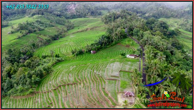 Affordable PROPERTY LAND IN Pupuan Tabanan FOR SALE TJTB556