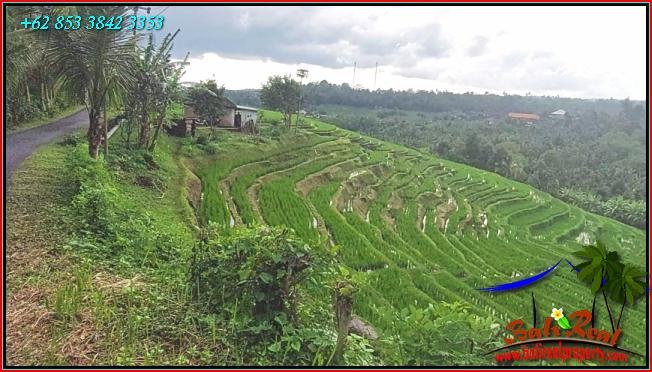 Affordable PROPERTY LAND IN Pupuan Tabanan FOR SALE TJTB556