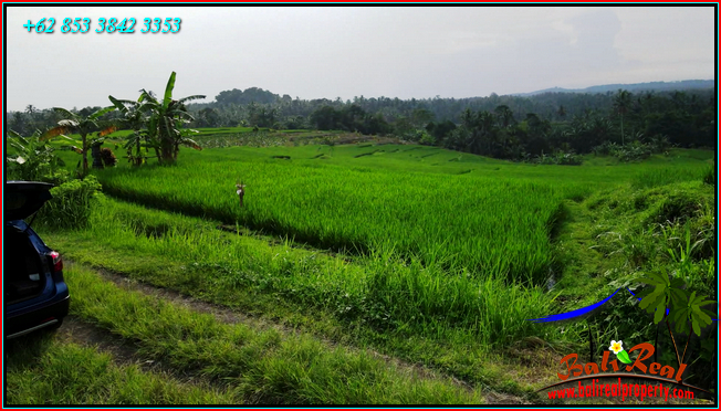 Affordable LAND FOR SALE IN Penebel Tabanan TJTB564