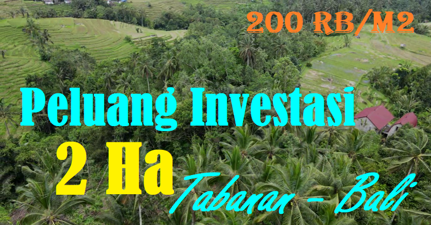 FOR SALE 20,000 m2 LAND IN Penebel Tabanan TJTB566