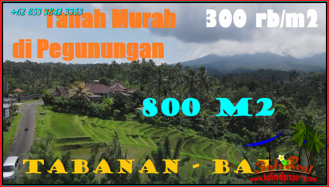 Beautiful PROPERTY Penebel Tabanan BALI LAND FOR SALE TJTB568